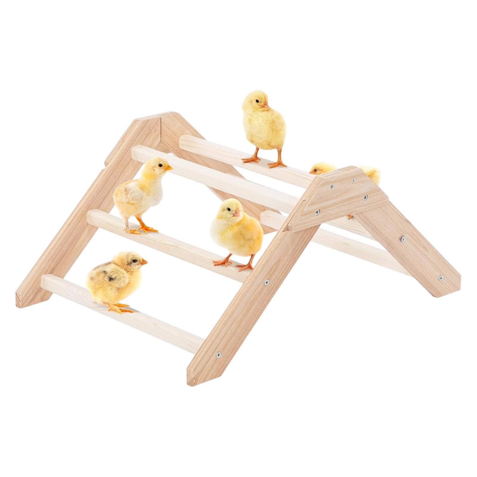 Perchoir pour poules et poussins idéal pour aménager l'espace de jeu du poulailler