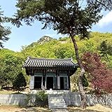 Photo Gallery say so