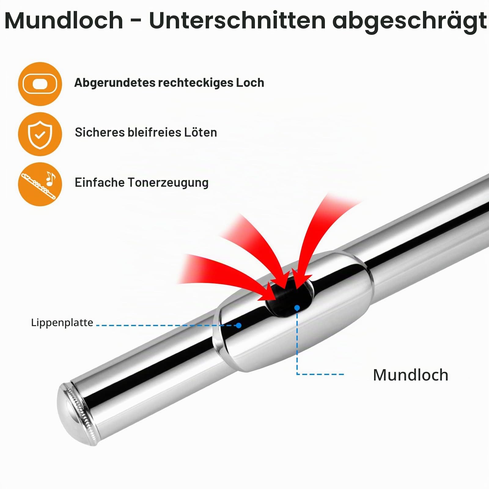 POGOLAB Flöte, Offene Loch, C Flute mit geteiltem E&Offset-G, C Fußstück, versilberte Flöte mit Flötentasche/Flötenreinigungsset/Sondenstab/Handschuhe/Fett, für fortgeschrittene Spieler