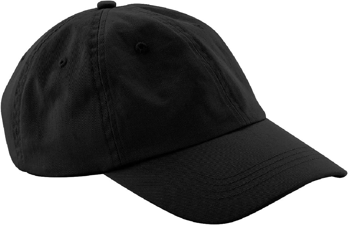 Low Profile 6 Panel Dad Cap