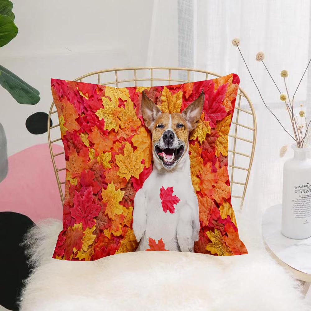 HYMSXW Cushion Cover,Throw Pillow Case Home Decorative for Living Room Bedroom Sofa Chair 20X20 Inch,jack russell dog lying on the ground full of fall autumn leaves laughing out lo,Pillowcase 50X50cm
