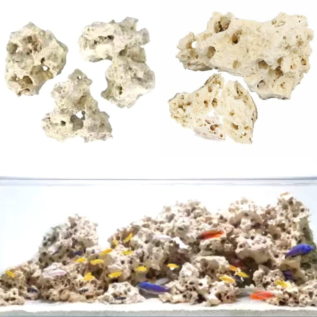 VAYINATO® Aquarium Fish Tank Natural Decorative White Sansibar Stone for Marine and Chihilids Fish Tank (5 Kg) by Petzlifeworld (B0B27BDG4N) Amazon Price History, Amazon Price Tracker