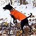 PETCEE Waterproof Dog Winter Jacket, Dog Winter Coat Windproof Warm Winter Dog Jacket for Large Dog Pet Jacket for Cold Weather - 2 Layer (Orange L)