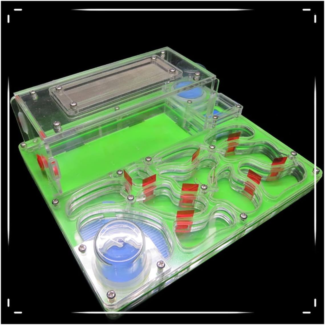 Stereoskopische Acrylbeobachtung Nest DIY Ameisenfarm Acryl Ameisenvilla Set Doppelter Wasserturm Ameisennest Großer Raum Ameisenökologie Werkstatt Studie über das Verhalten von Kolonien(Green)
