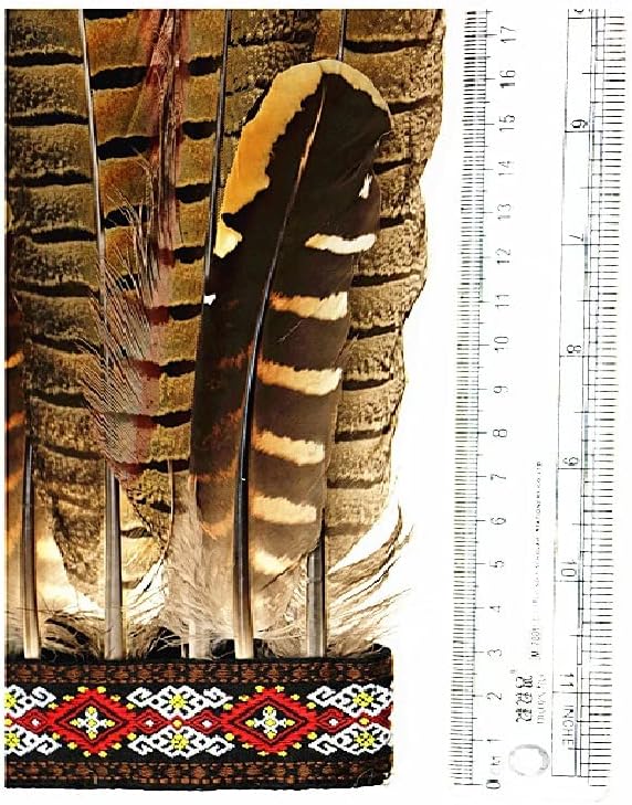 Miniatura 5 de Tocado de plumas para el día de Acción de Gracias Jefe inspirado en los indios nativos americanos para niños y adultos