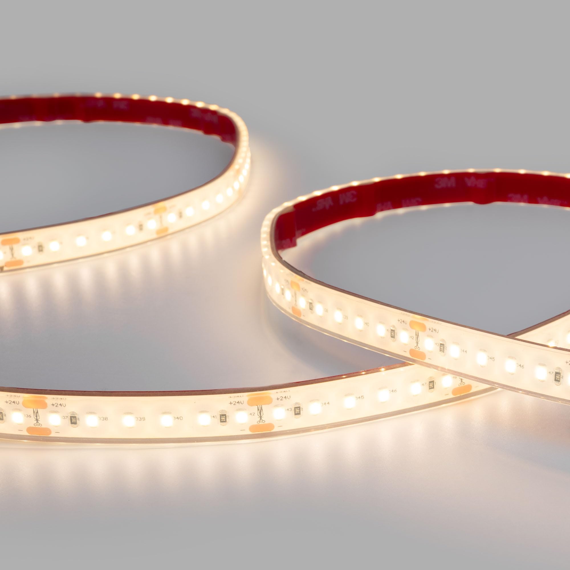 B·LED BARCELONA LED - Tira LED 24V DC sumergible - Monocolor - 9.6W/m - 12mm - IP68-10 metros - 120ch/m - Blanco Cálido