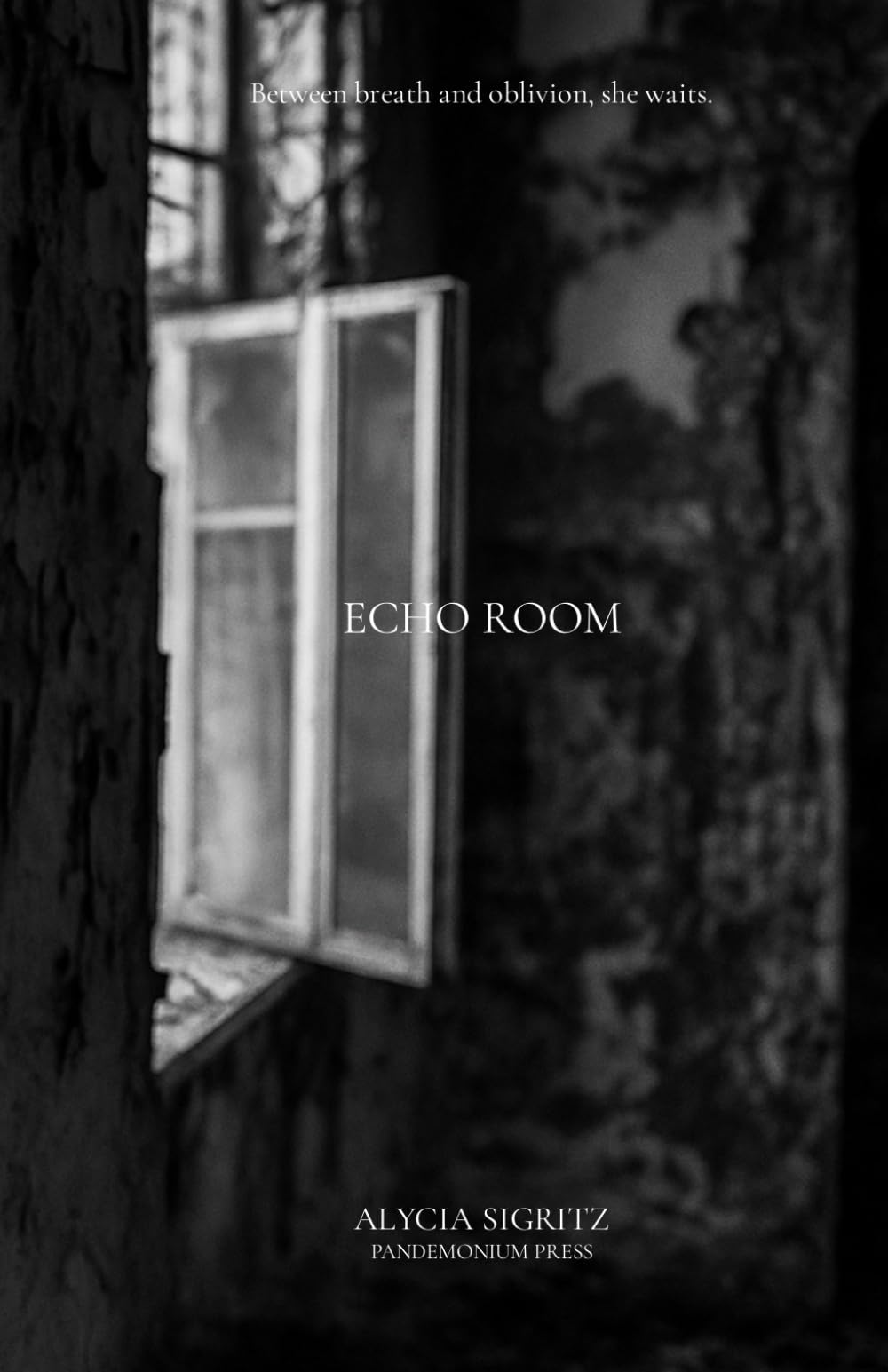 Echo Room: 2 (The Tethered Series)