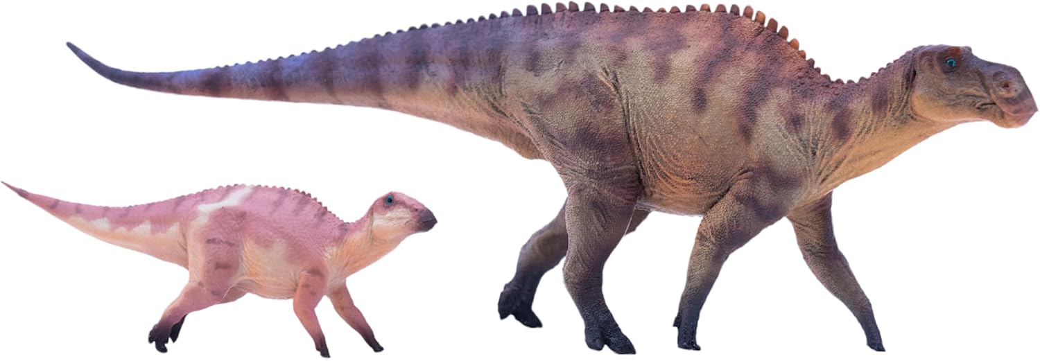 New Maiasaura 1：35 Science and Art Model (Hua Di)