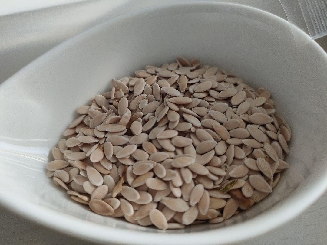 Amazon.co.jp: タイガーメーロン 種 1g100粒 以上マクワウリ