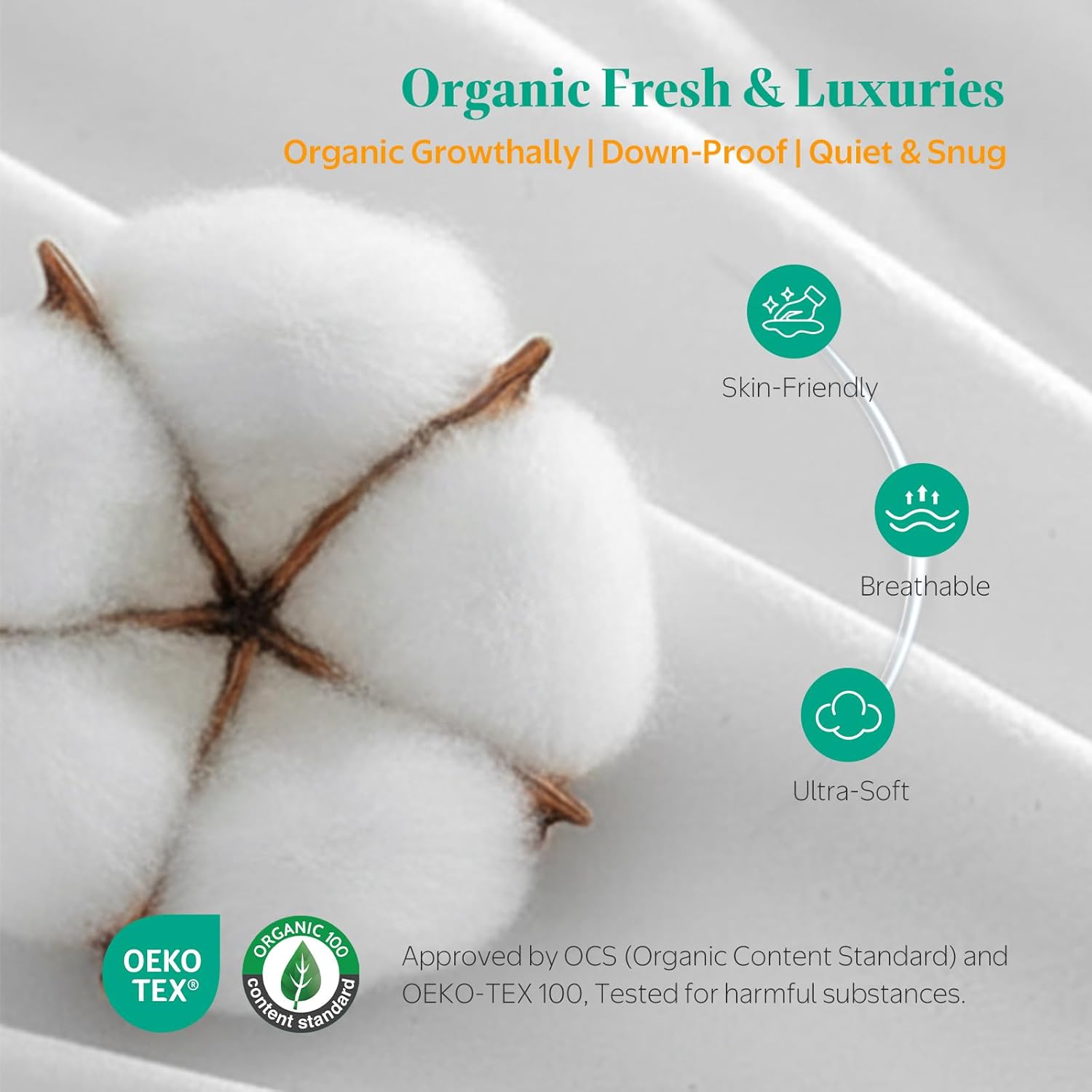 APSMILE 12x20 Pillow Insert, Lumber Down Feather Throw Pillows Set of 2 with Organic Cotton Cover, Soft Decorative Pillows for Couch Living Room,Sofa,and Bed（White）