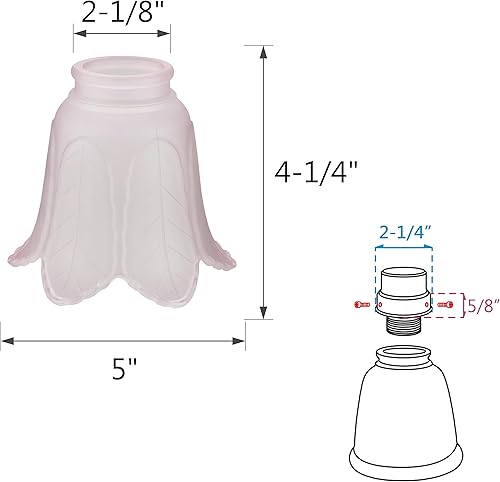Miniatura 3 de Aspen Creative 23102-4A - Pantalla de cristal de repuesto para ventilador de techo de hoja rosa rosa transicional, 2-1/8 pulgadas de tamaño de