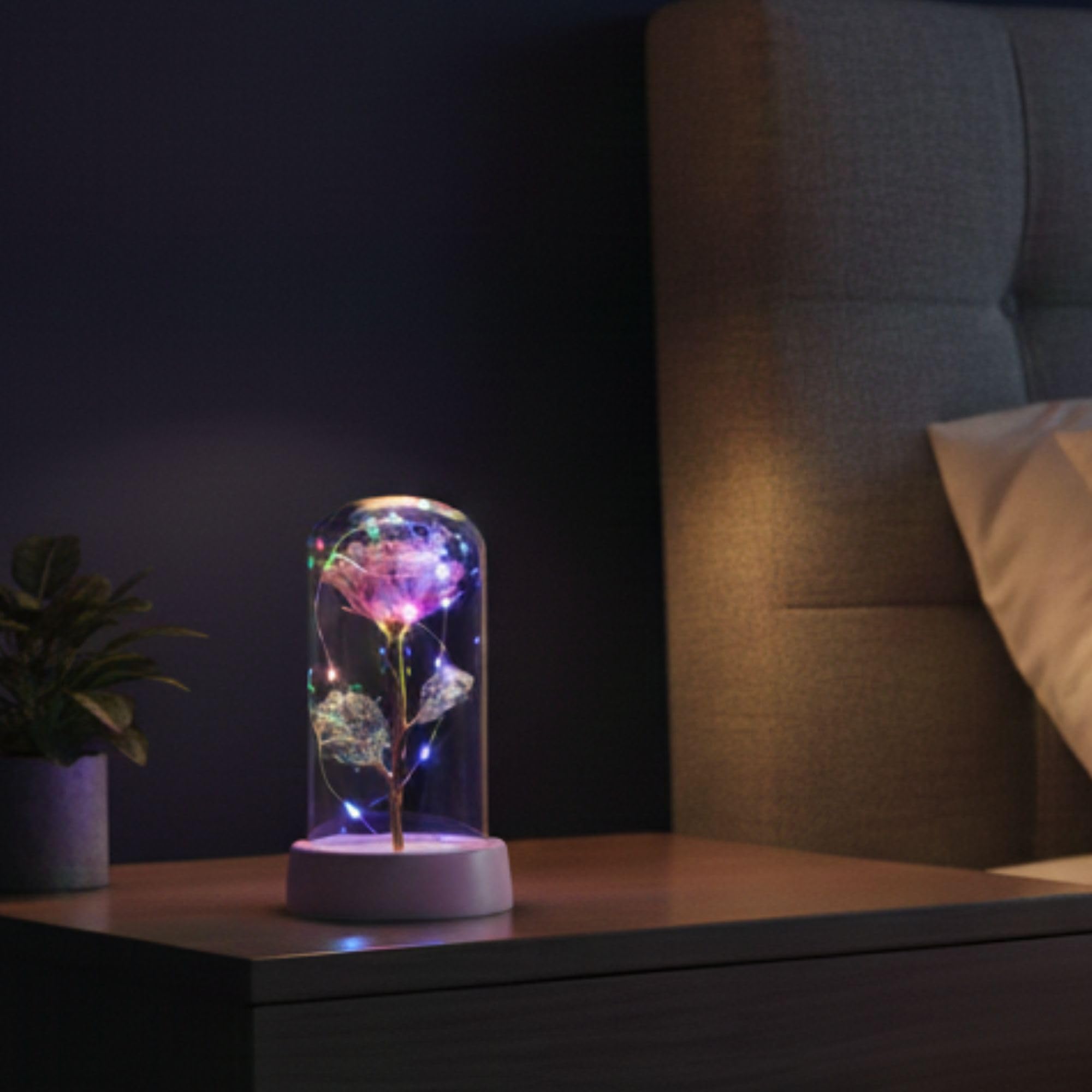 SHAYONA Forever Rose LED Light with Glass Cover, Decorative Artificial Plant for Couples, Surprise Ideal Gift for Girlfriend Valentine Day, Birthday, Anniversary & Home Decor 2