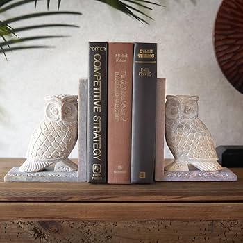 61kmf4RRw5L._AC_UF350, 61kmf4RRw5L._AC_UF350,