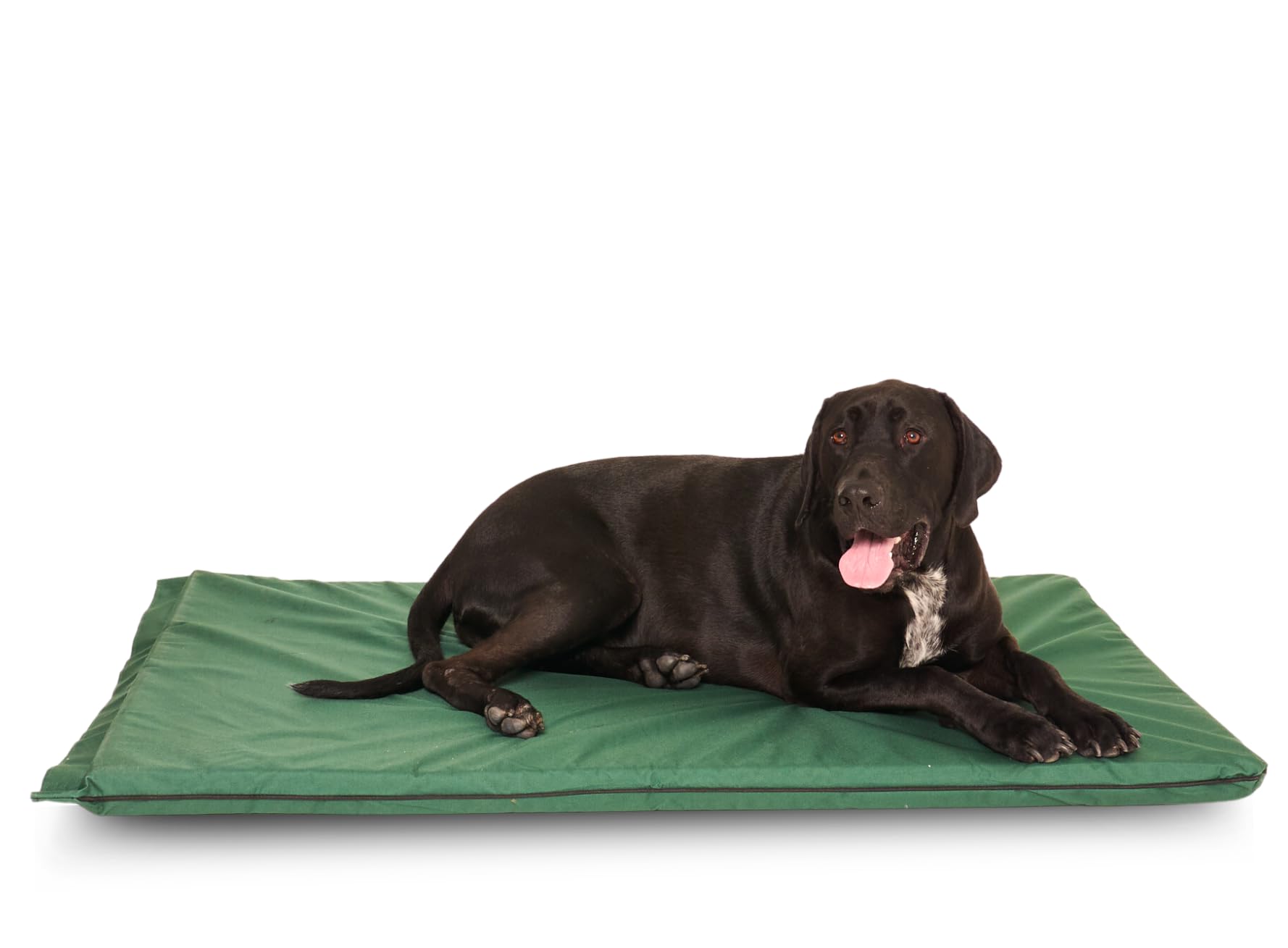 AATH COLLECTION Dog Bed Large Orthopaedic Waterproof Puppy Bed Cushion Mattress – Dog Mat Outdoor with Washable & Removable Zipped Cover (XL (125 x 95 x 6cm), Green)