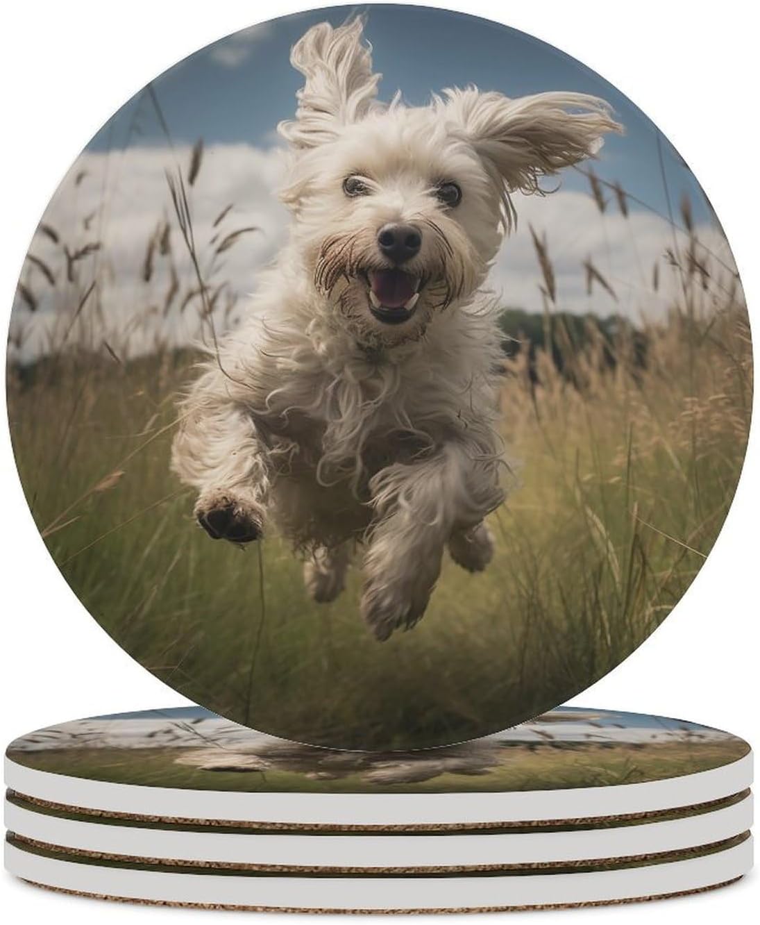 6PCS White Dog in The Field Coasters Non-Slip Round Drink Coasters with Ceramic Stone and Cork Base, Heat Resistant Absorbent 33.00Stone Coaster Set for Kinds of Mugs and Cups, 4 Inch
