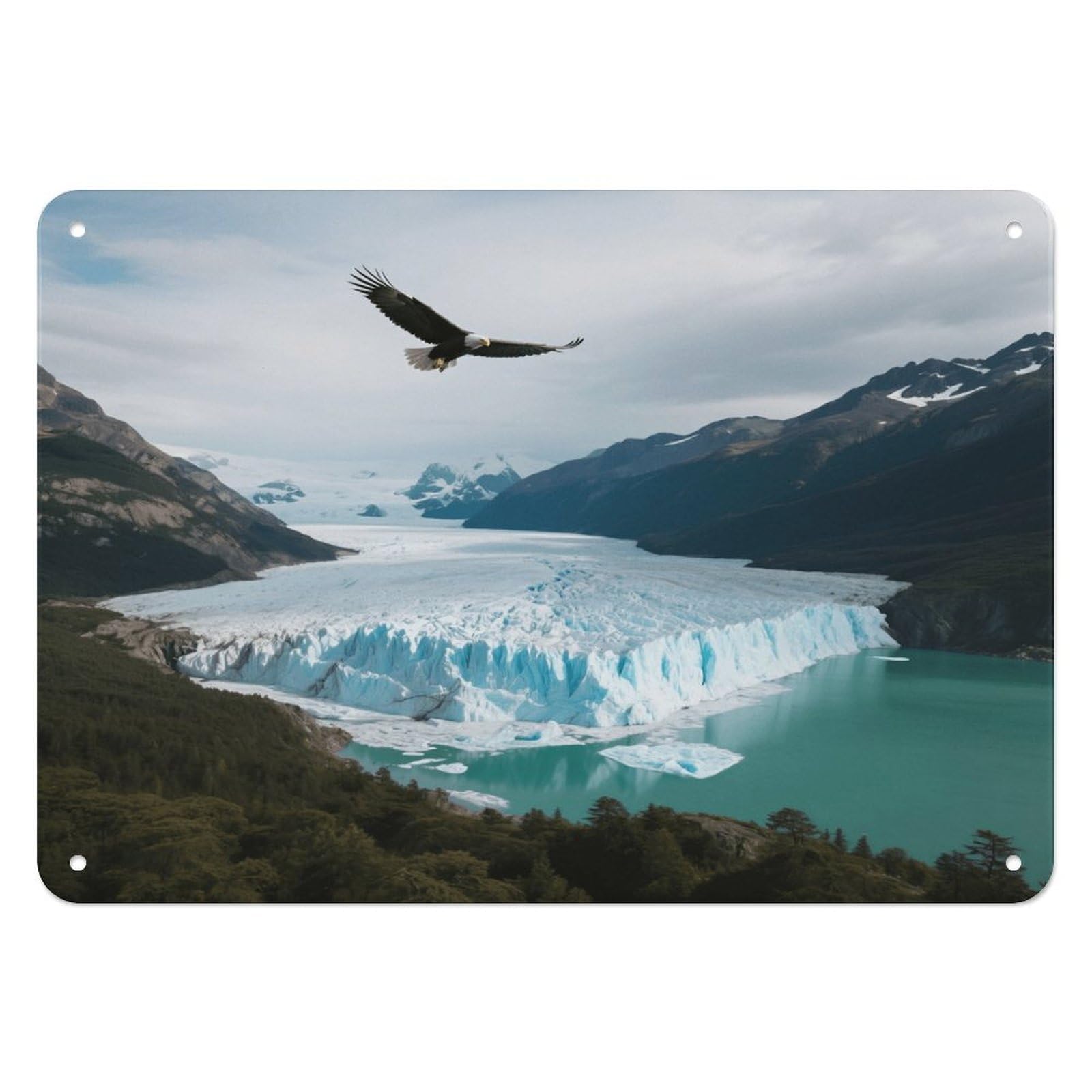 Fekiloot Style Glaciers And Lakes Wall Decor Iron Painting Metal Sign