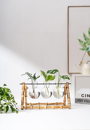 Miniatura 5 de Estaciones de propagación de plantas terrario, soporte de bambú, maceta de escritorio, bombilla de cristal, jarrón para plantas, regalo retro, mesa