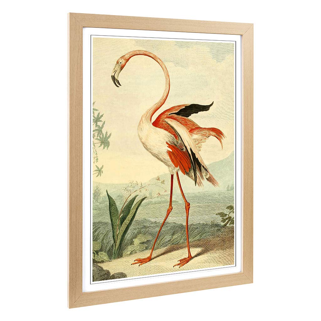 Big Box Art Framed Print of Vintage Charles R Ryley Flamingo Design | Wall Art Picture | Home Decor for Kitchen, Living Room, Bedroom, Hallway, Oak, A2 / 24.5x18 Inch / 62x45cm