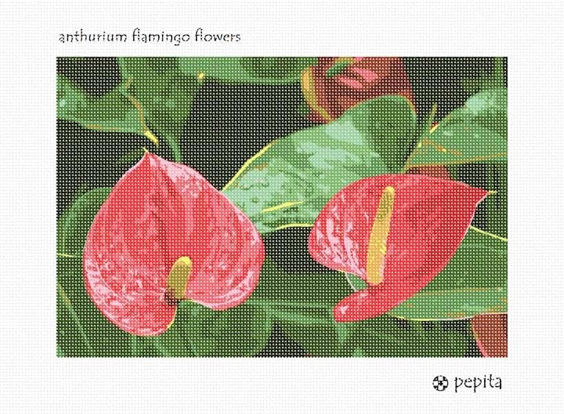 Pepita Needlepoint kit: Anthurium Flamingo Flowers, 12" x 8"