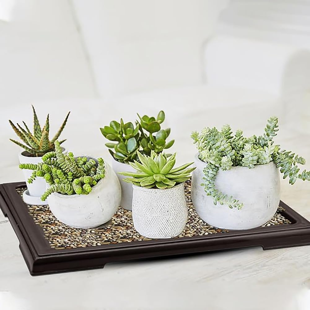 FSSTUD 2 Pcs Plastic Bonsai Tree Trays Indoor Plant Humidity Tray Small Plant Drip Pebble Trays Plant Water Catcher Tray Plant Drainage Saucer - Image 3
