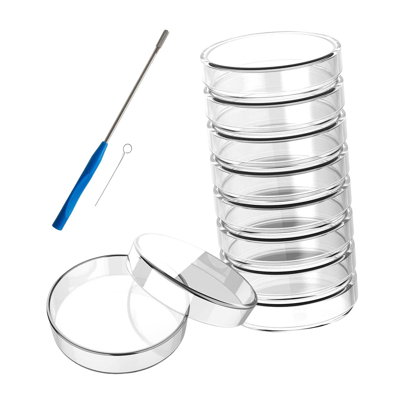 10 piastre di Petri in vetro, riutilizzabili, facili da pulire, per accessori, 60 mm, trasparenti, Trasparente, 100 mm, 100 mm, come descrizione