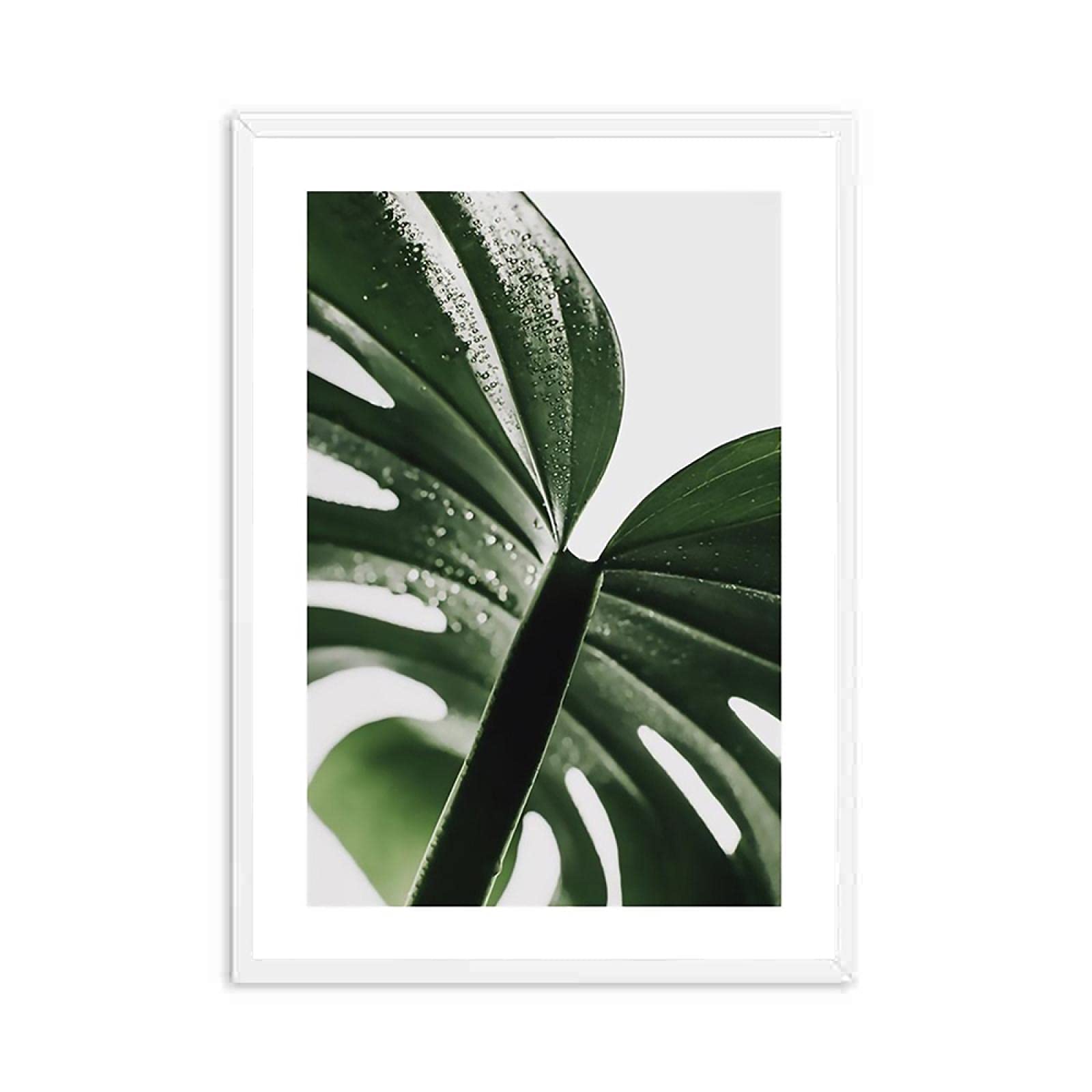 Canvas Schilderij, Groene tropische bladeren