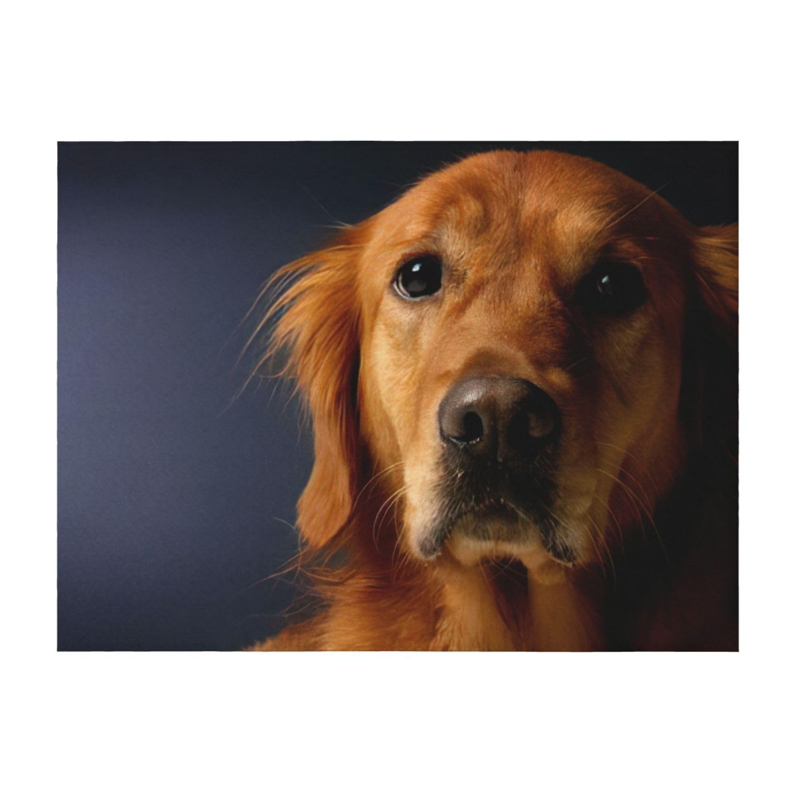 Couverture légère Golden Retriever idéale pour des soirées cocooning au lit