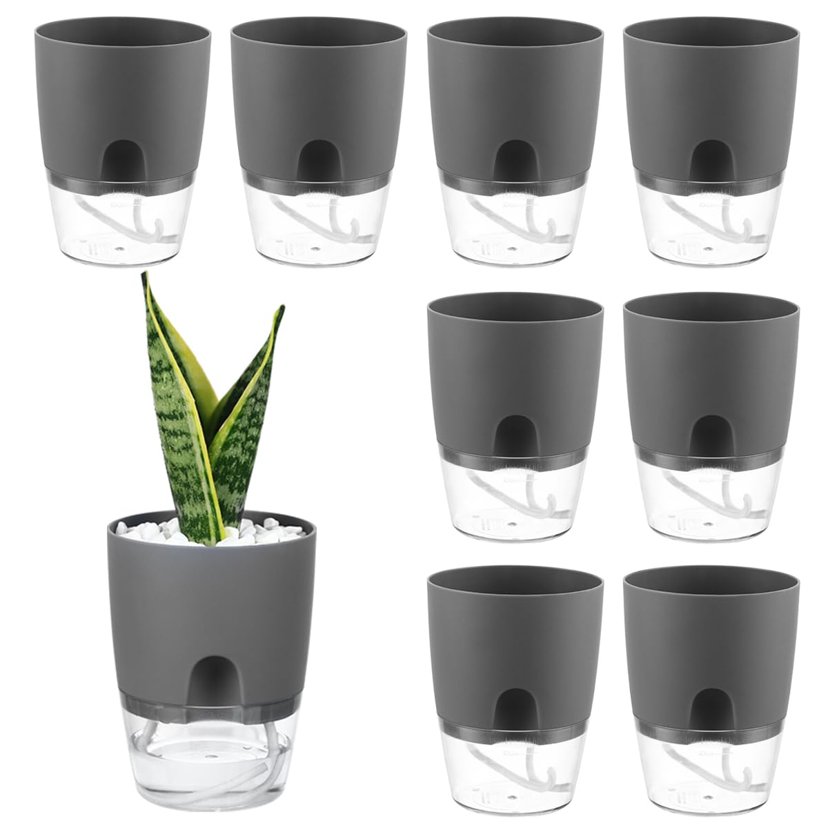 PlanterHoma 8 Pack 3.2 Inch Self Watering Pots