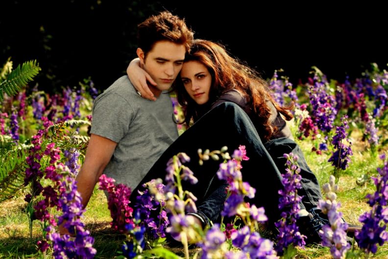 Puzzles 1000 Stück - Film Twilights Posters - Personalisierte Herausfürderungs-Spielzeuge Für Erwachsene - Für Spielzeug Zur Stressreduktion In Der Familie Gifts - Vs79Pw