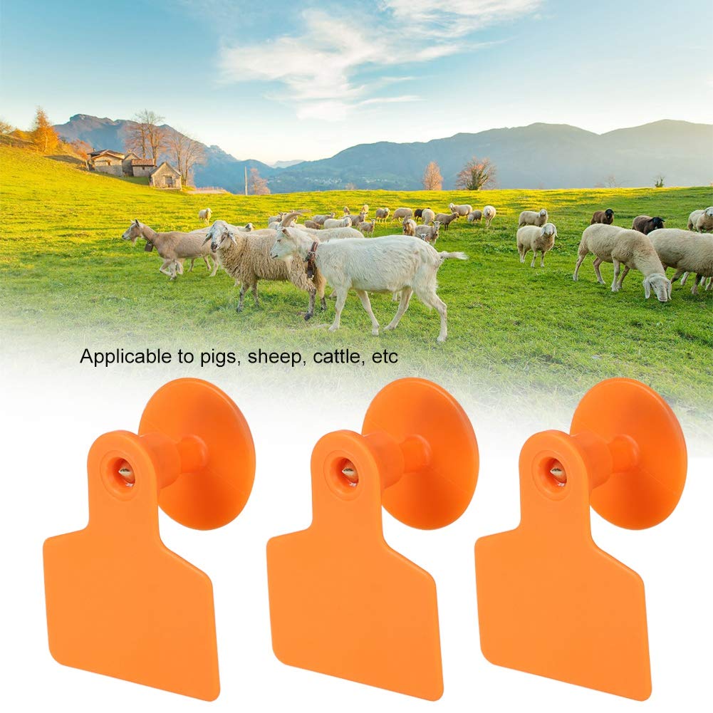100 targhette auricolari in plastica, per animali, etichette identificative per capra, maiale, mucca, pecora, animale (arancione)