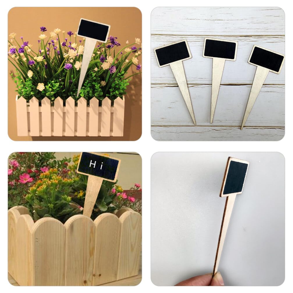 Set 75 Pezzi Supporti Per Orchidee - Bastoncini, Clip E Connettori, Altezza Regolabile - Foto 7