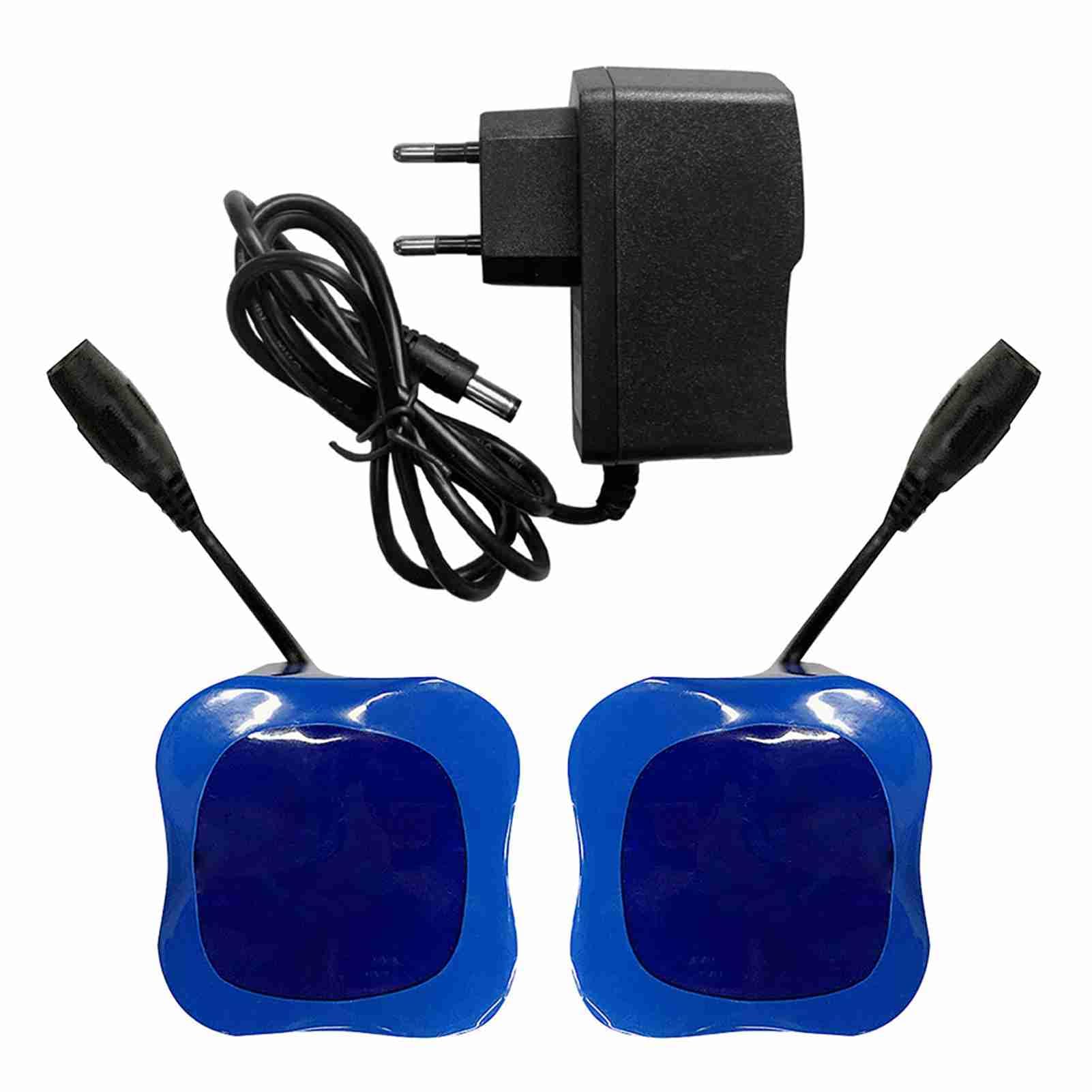 Alomejor Chargeur Batterie, Haute capacité 12000mAh léger Power Bank Lot de 2 for pêche Camping randonnée Bateaux Voyageurs aventuriers