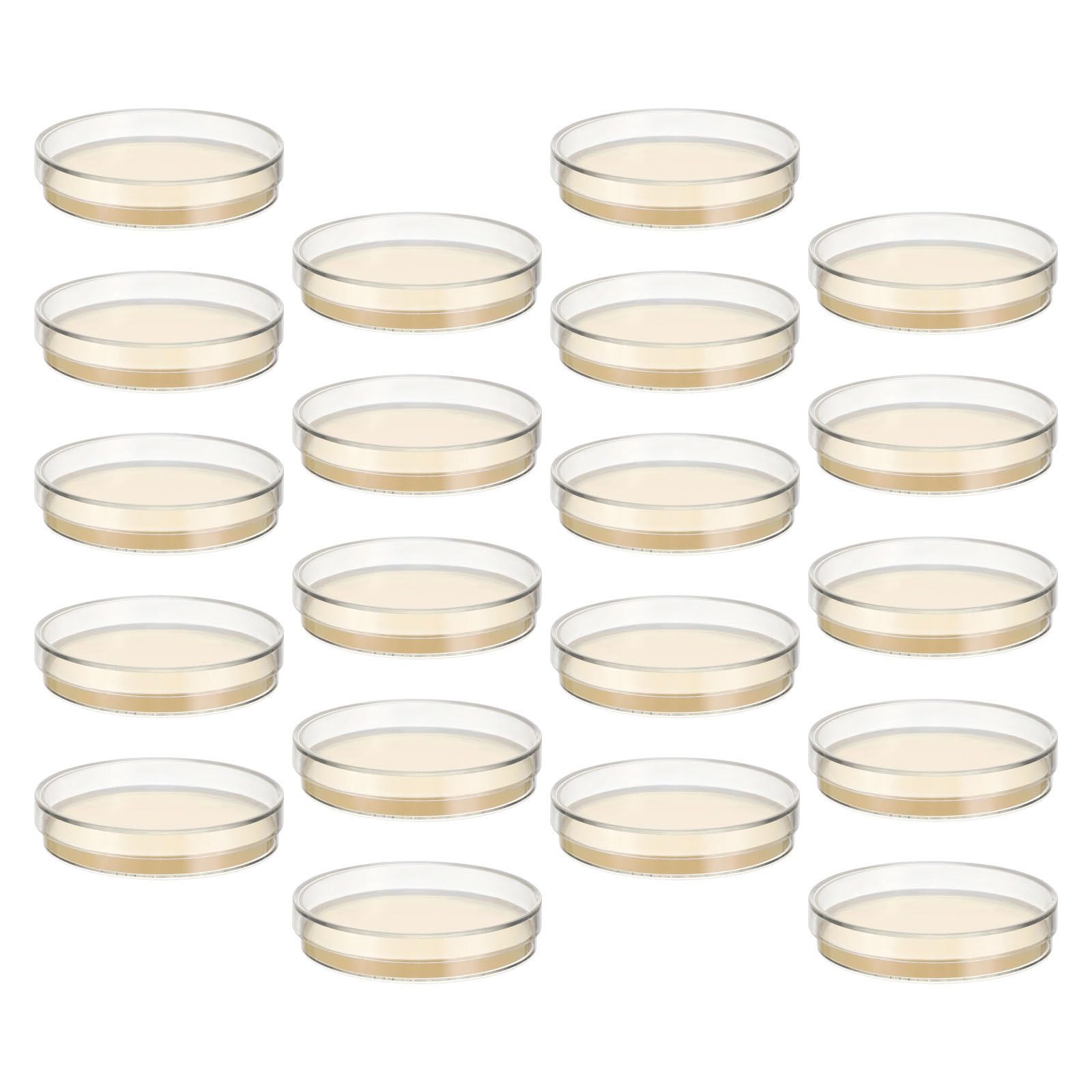 VALICLUD 30 Stück Nährstoffagar Petrischalen 7cm aus Agar für Umfassende Untersuchungen und Gesundes Kulturwachstum im Klassenzimmer und Mikrobiologie