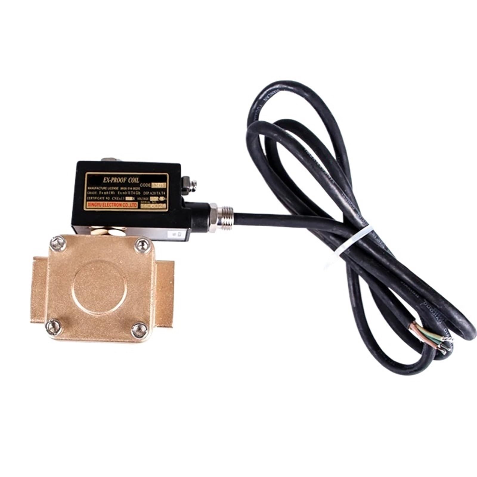 DN15 High Pressure Explosion Proof Solenoid Valve Brass IP65 Normally Closed 1.6Mpa AC220V DC24V for Water Oil Air(AC220V)