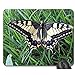 Produktbild Anti Rutsch Gaming Mausepad,Gummiunterseite Mausmatte,Pad Maus Unterlage,Schmetterling Schwalbenschwanz Schmetterlinge Papilio Machaon Office Computers Pad,Glatte Mousemat,30X25Cm