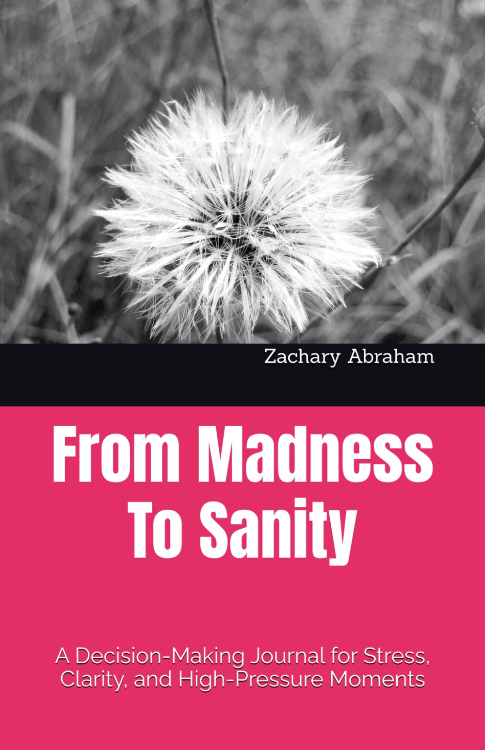From Madness To Sanity: A Decision-Making Journal for Stress, Clarity, and High-Pressure Moments
