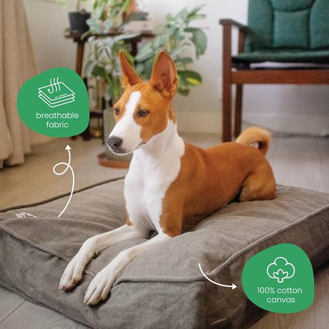 Foto 4 de 6 de Molly Mutt Jupiter - Funda de edredón para cama de perro, cachorro o gato, certificado GOTS, lona 100 %…