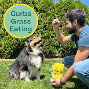   Plant-Based-Spirulina-Healthy-Supplement-Dog-Treat-5oz-1-Pack-Stop-Grass-Eating-Hypoallergenic-Chicken-Free-Vegan-Protein-100-Made-in-USA