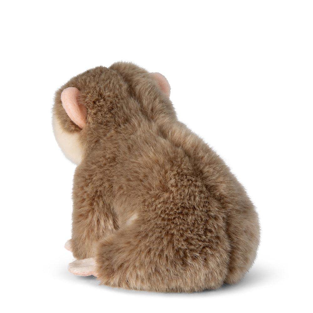 WWF Plüsch Faulaffe animale [Loris] (18 cm)