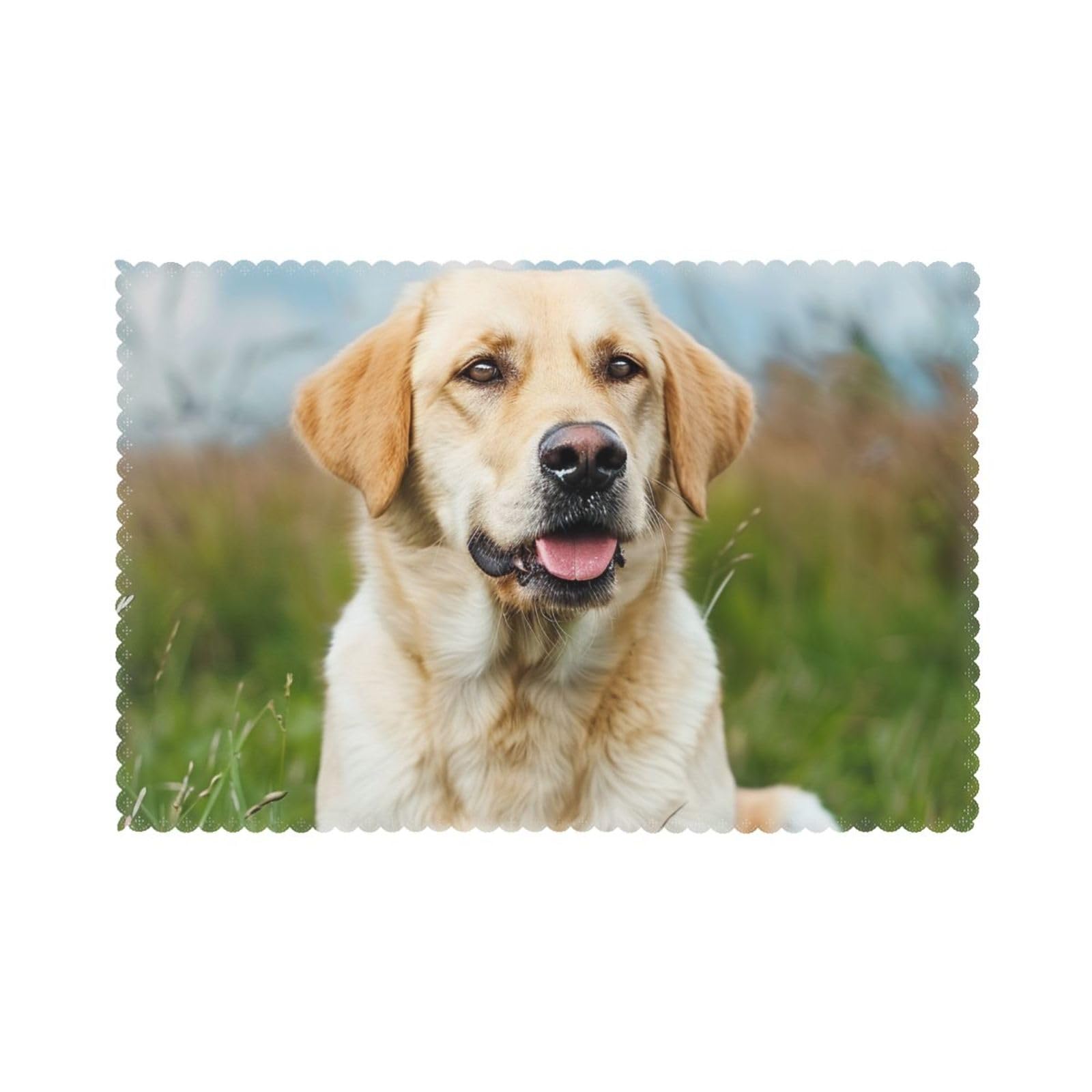 Cute Labrador Dog Placemats Set of 6 for Kitchen Gifts Washable Heat Resistant Table Mat Anti-Slip Place Mats 18x12 Inch