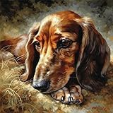 Flower Dachshund 11CT Cross Stitch Kits for Beginners Color Printed Stamped Cross-Stitch Supplies Needlework Printed Embroidery Kits DIY Kits Needlepoint Starter Kits 50x50cm(X43)