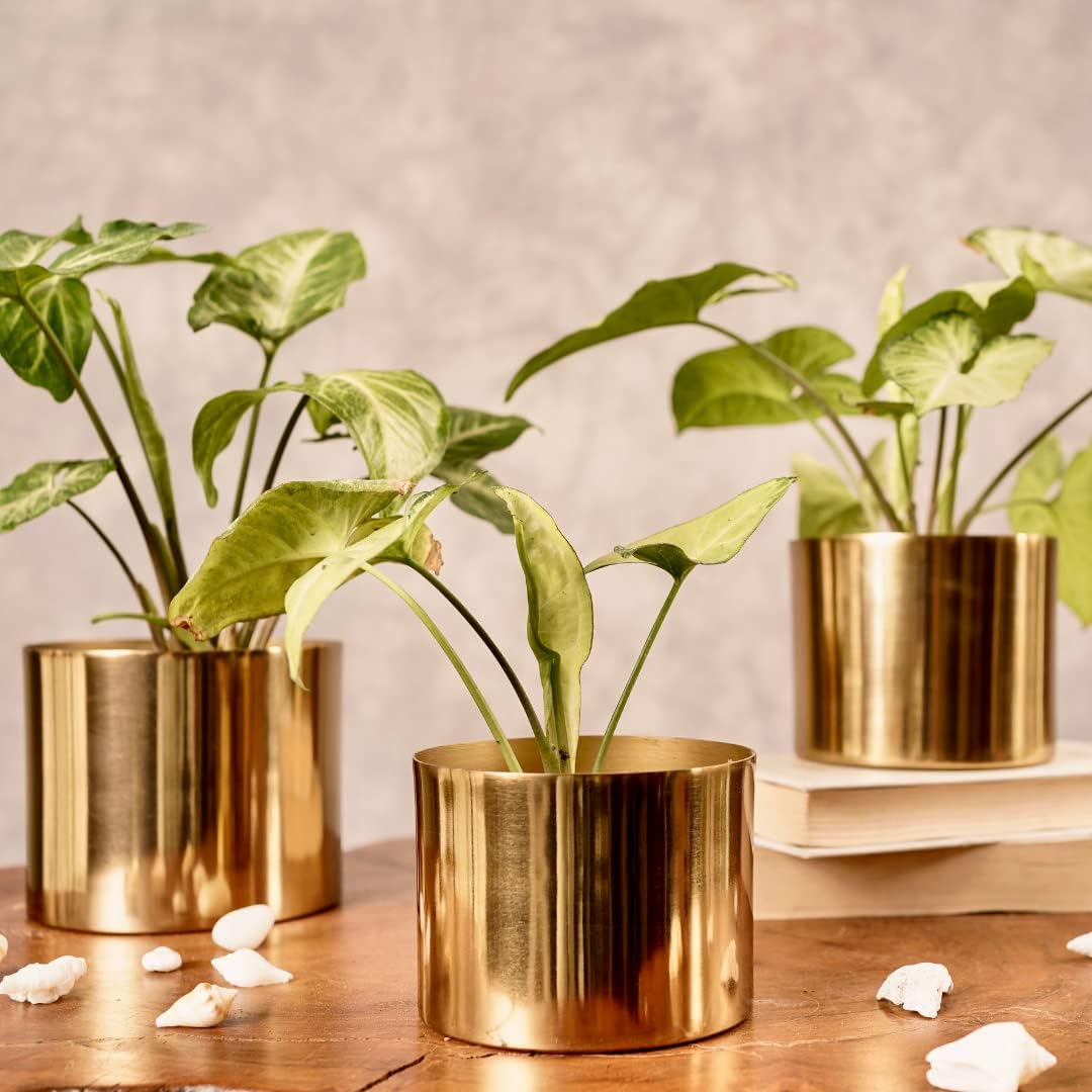 W A Handicrafts Golden Metal Small Planter for Home Decoration | Plant Pots for Home Living Room Bedroom Office Decor (B0CFW2XXDS) Amazon Price History, Amazon Price Tracker