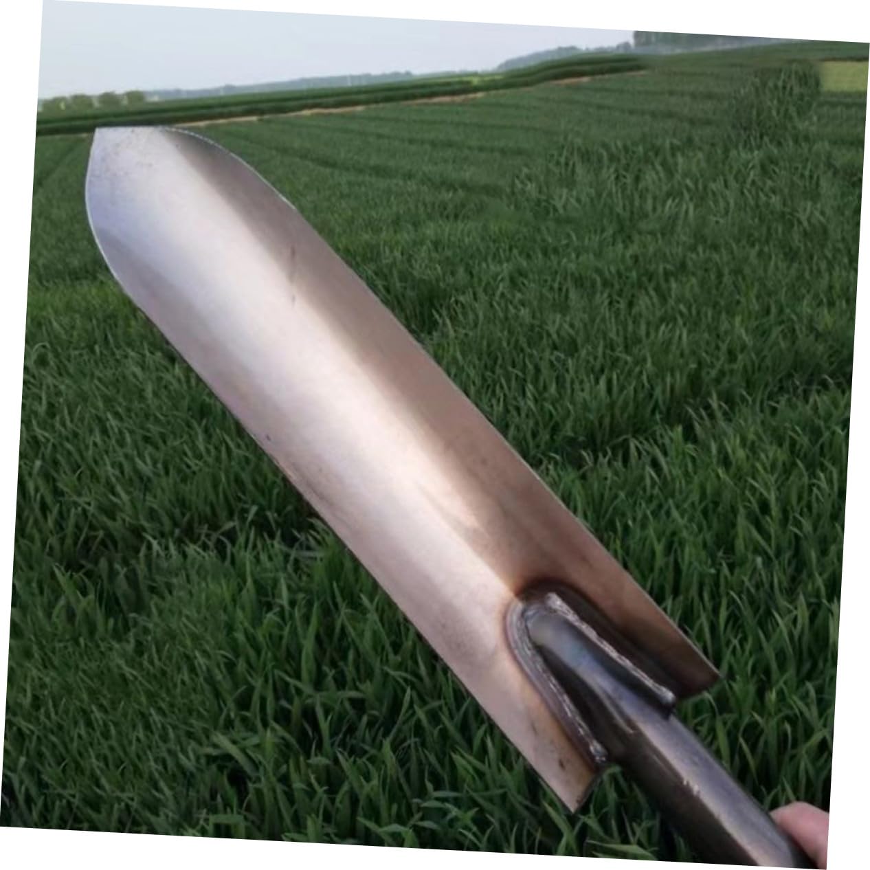 Robuster Pflanzspaten aus Stahl, Spitze Form, Silber