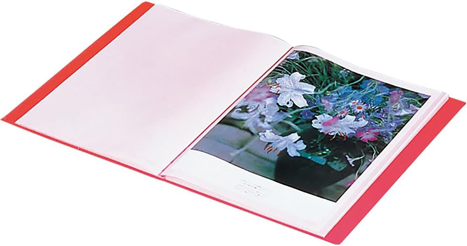 クリアファイル 9/5/9/3/5/4/8/ クリアファイル 9 : 326shop - 通販