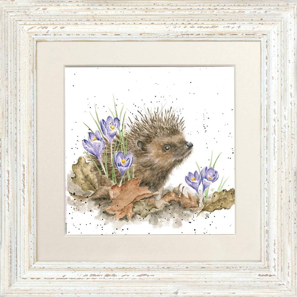 Wrendale Designs Distressed White "New Beginnings Hedgehog Framed Picture (Distressed White)