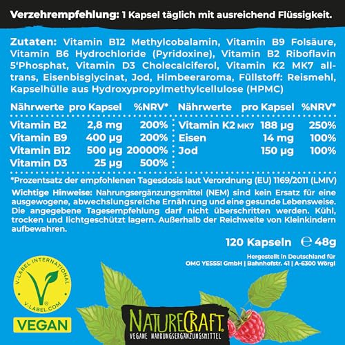 Vegan Basics - Vitamin B12+D3+K2+B2+B9 Folsäure + Eisen + Jod - Komplex mit 120 Kapseln (4 Monats-Vorrat)