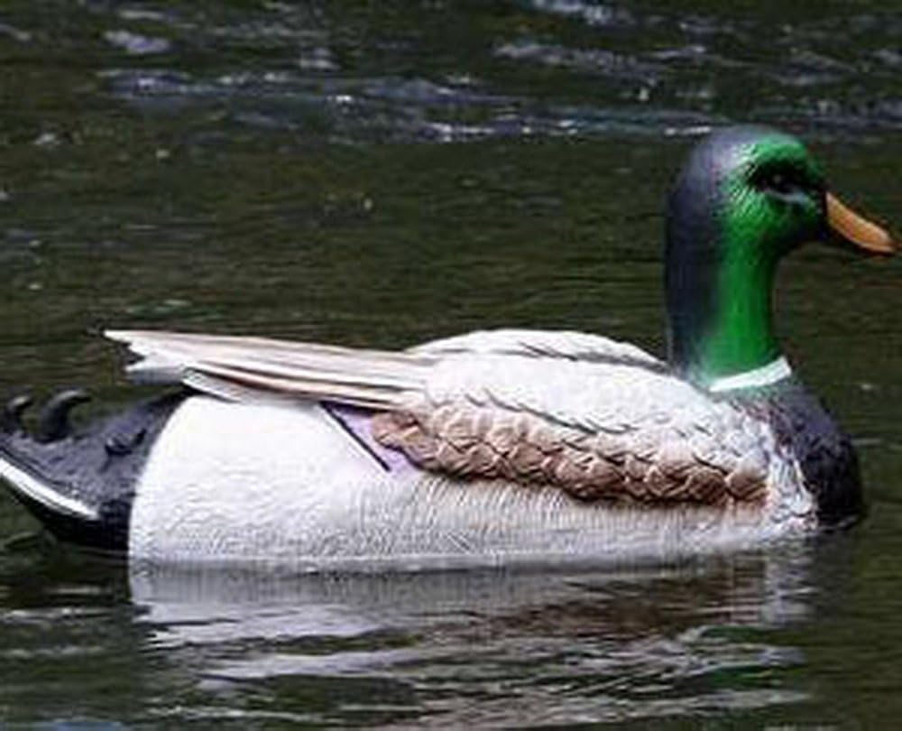 Ducks Nuts Decoys Magnum Swimming Mallard Drake Decoy