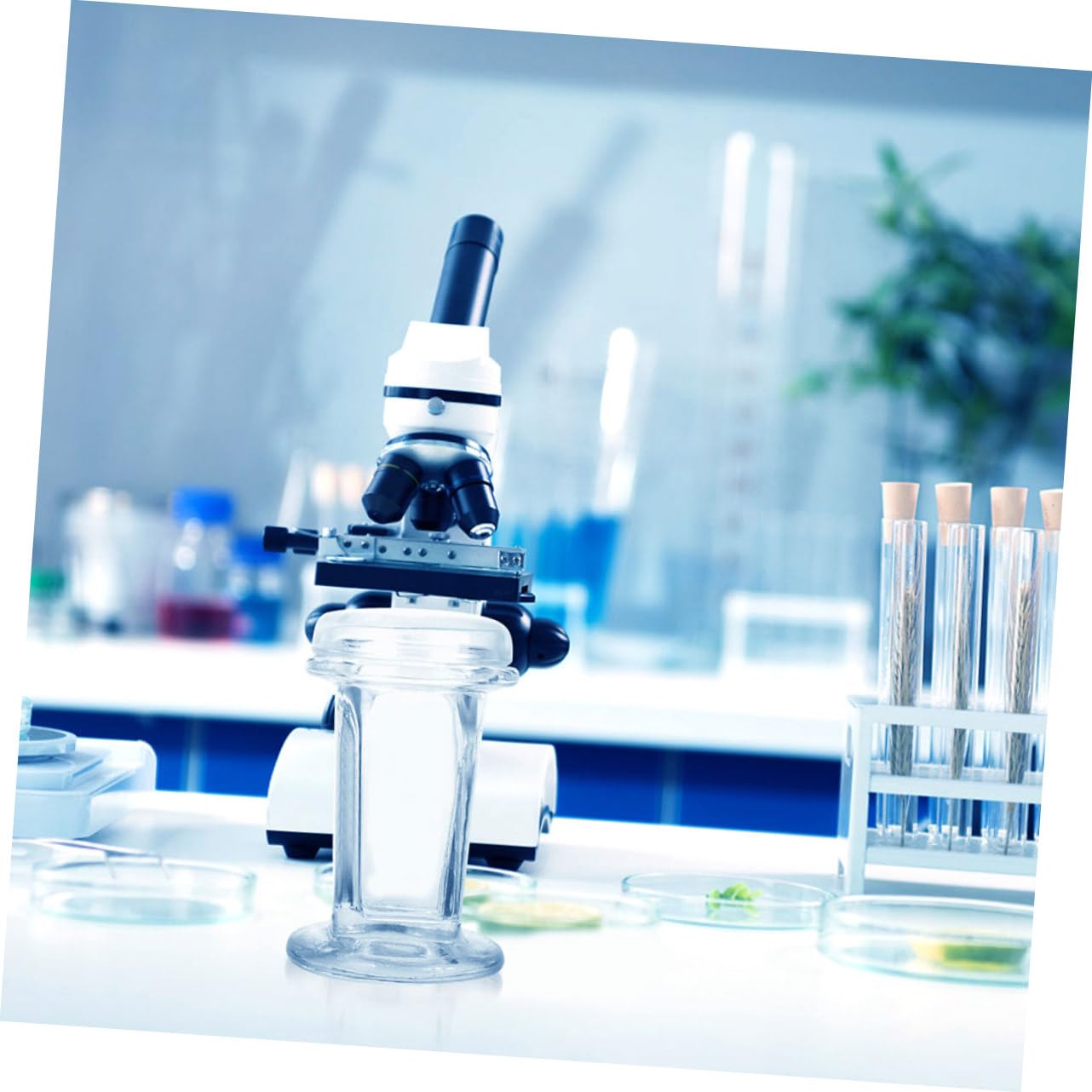 Frascos De Tinción De Vidrio Transparente Para Laboratorio, 2 Unidades Para Teñir Portaobjetos, Capacidad Para 5 Portaobjetos, Material Vidrio Resistente y Uso Profesional Científico