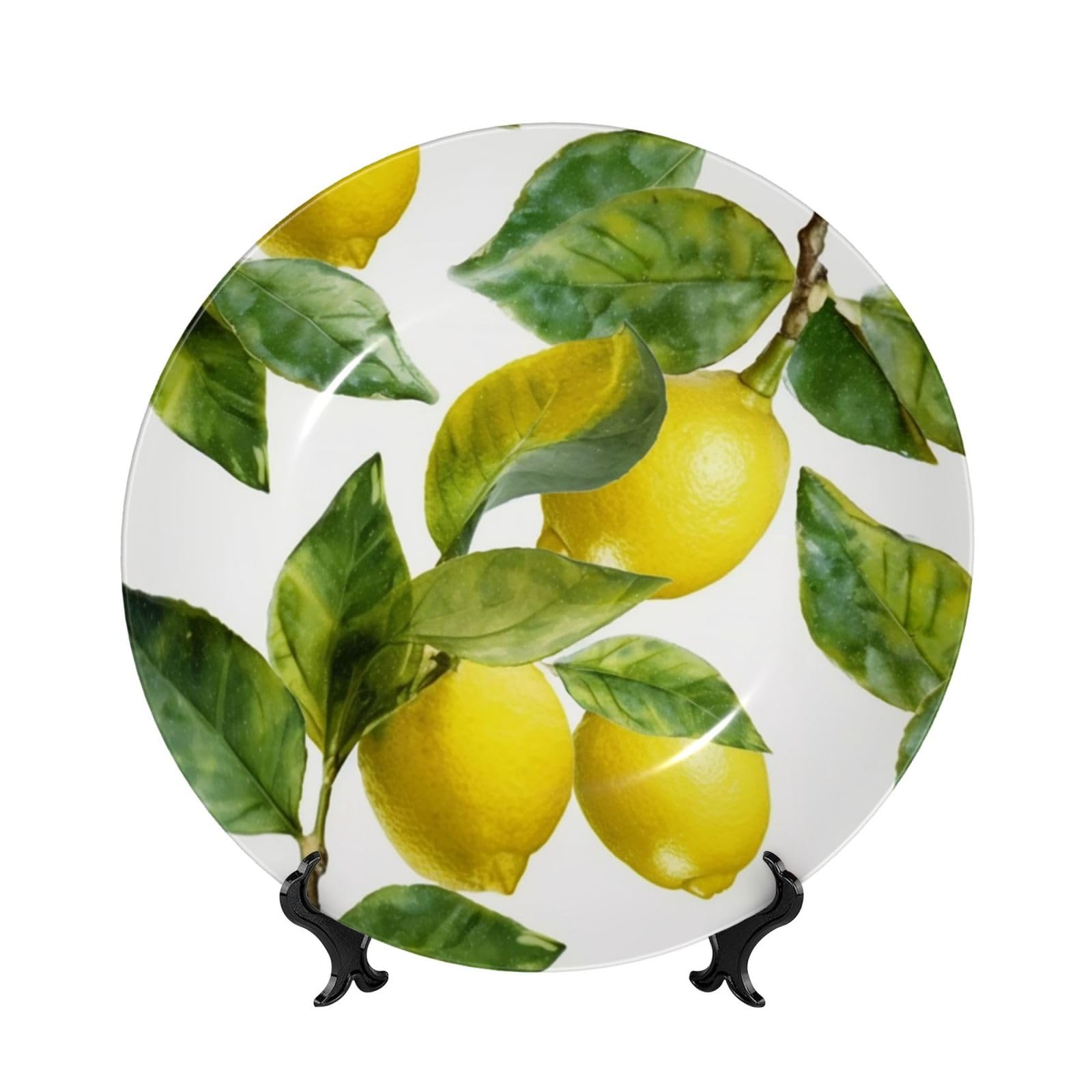 Assiette décorative en porcelaine avec support pour meuble vide sans percer