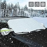 【Leben verbessern】Reduzieren Sie die Wartezeit für Löschen von Frost, Schnee, Eis,sparen Sie Energie und schonen Sie die Umwelt